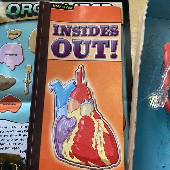 Youth science toy - Squishy Human Body 8+ - Picture 8 of 12